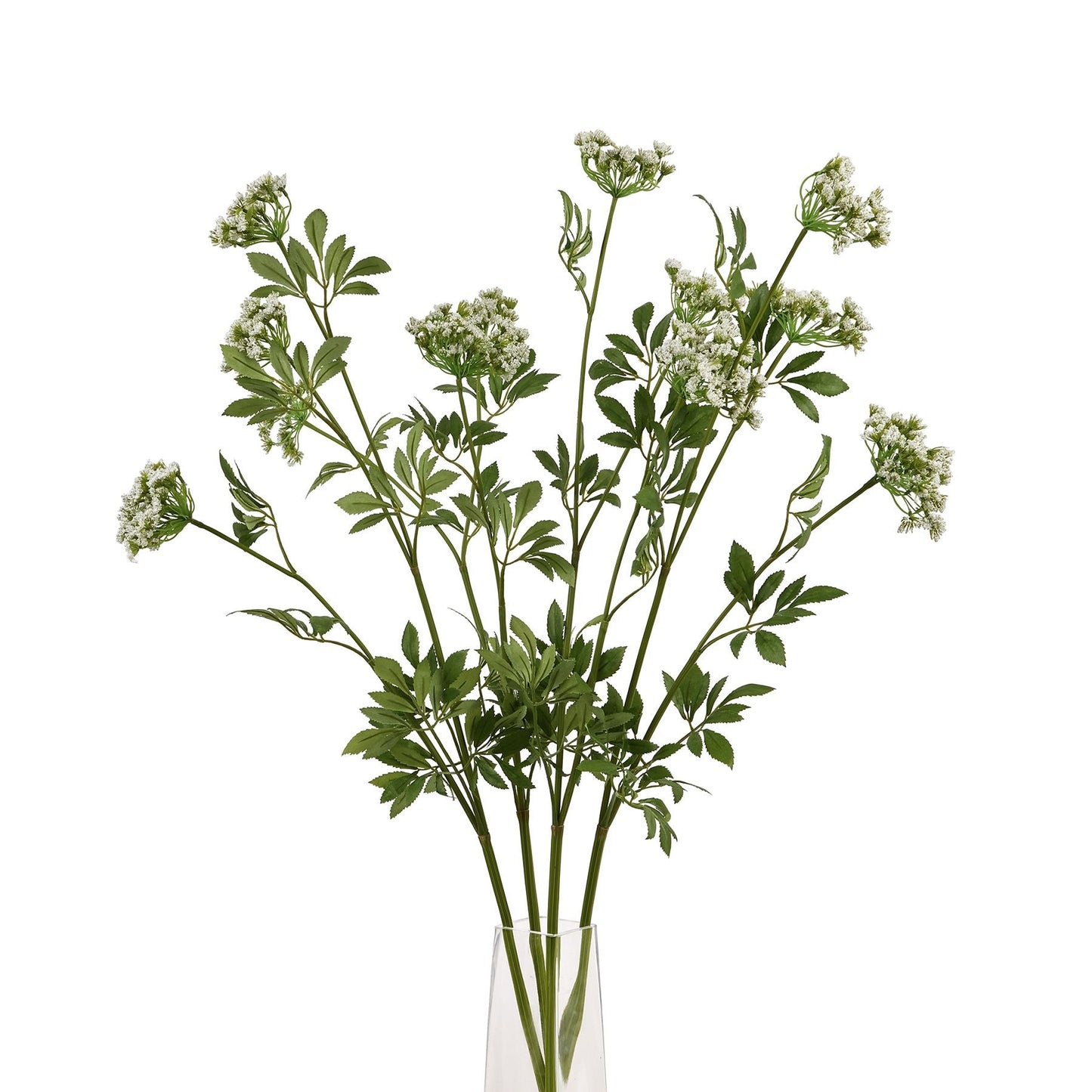 4 stems of cow parsley in glass vase