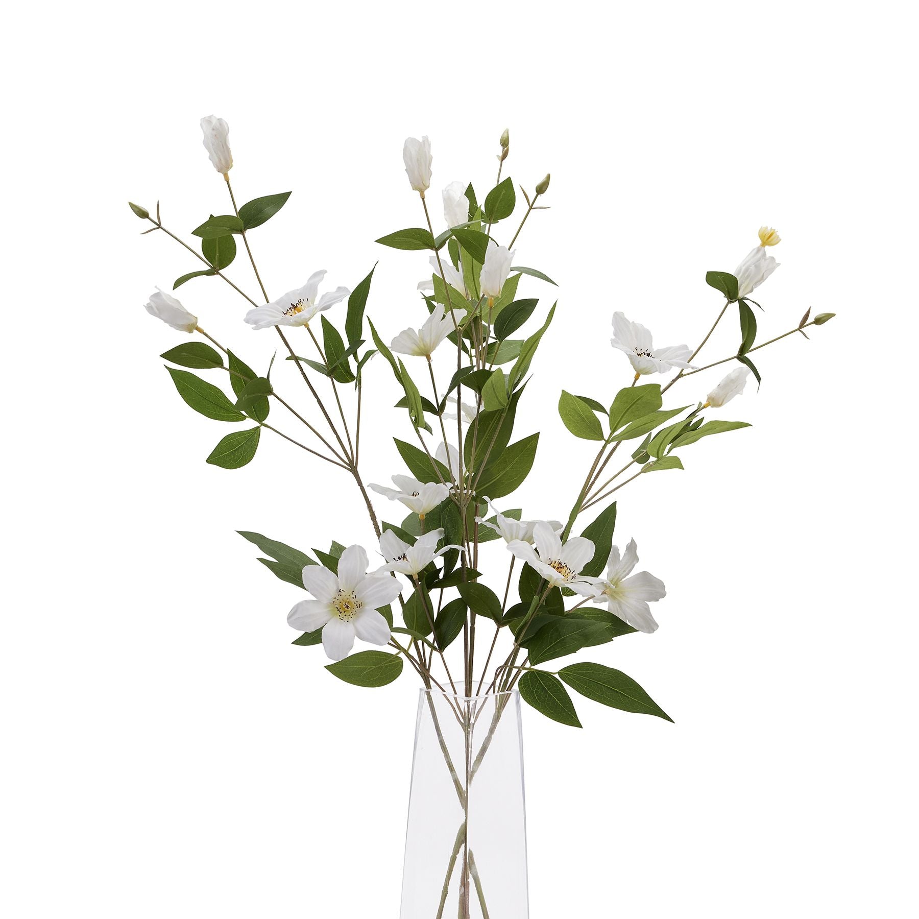 several stems of white florida clematis in glass vase