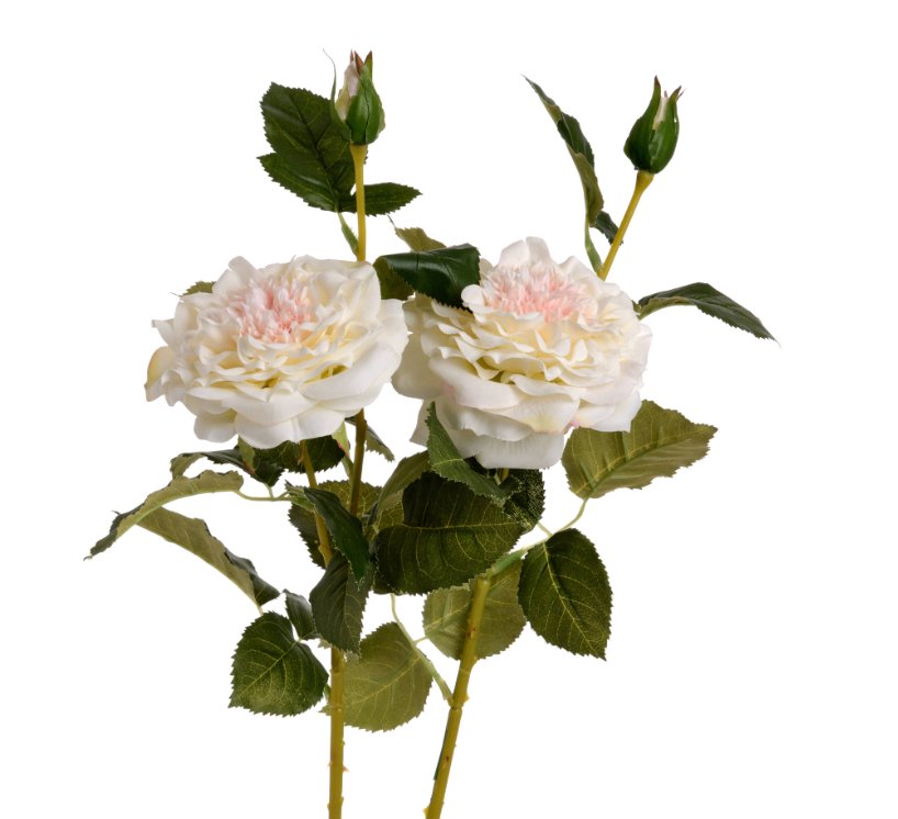 White Garden Rose Spray