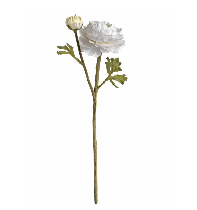 White Ranunculus Spray