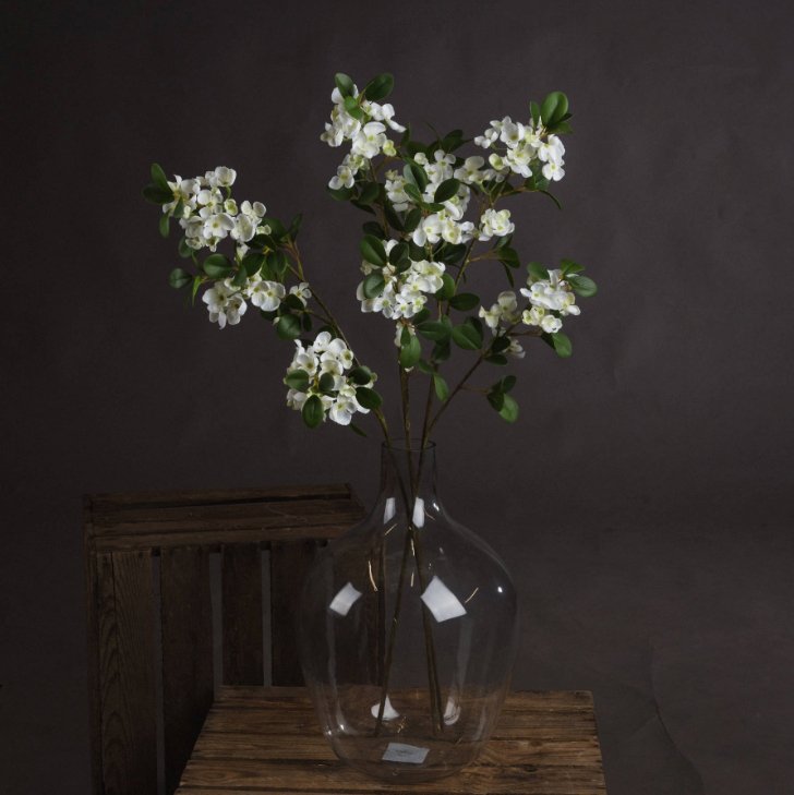 White Spring Orange Flower