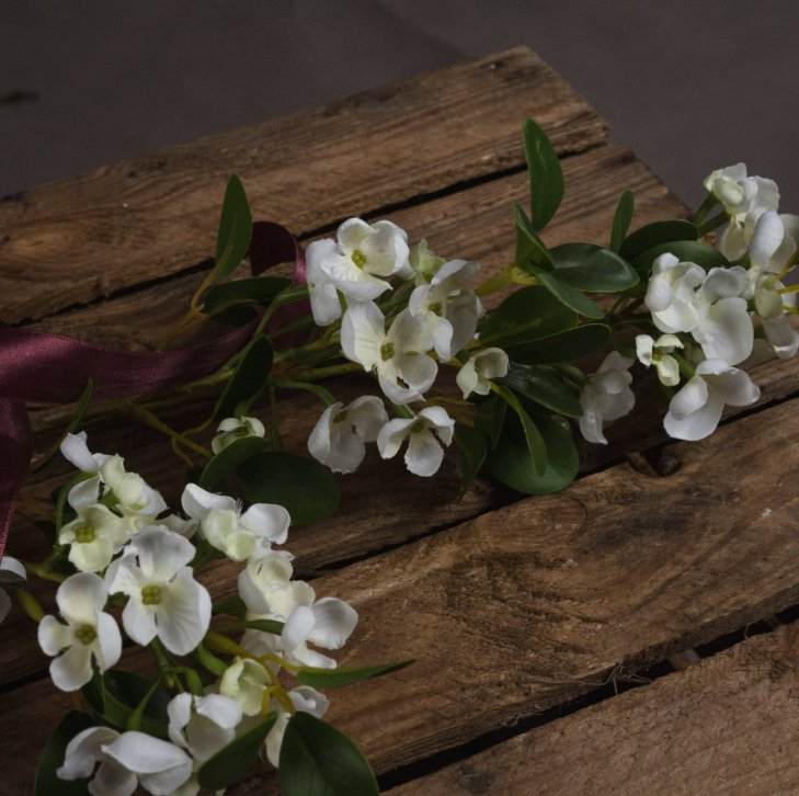 White Spring Orange Flower